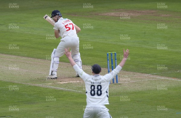 140521 - Glamorgan v Yorkshire, LV= County Championship Group Three - Harry Brook of Yorkshire appeals as Jordan Thompson of Yorkshire takes the wicket of Joe Cooke of Glamorgan