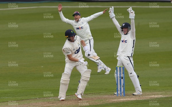 140521 - Glamorgan v Yorkshire, LV= County Championship Group Three - Marnus Labuschagne of Glamorgan reacts as he is given out lbw of the bowling of Ben Coad of Yorkshire
