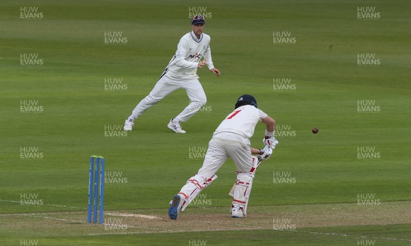140521 - Glamorgan v Yorkshire, LV= County Championship Group Three - Joe Root of Yorkshire looks on as brother Billy Root of Glamorgan plays a shot