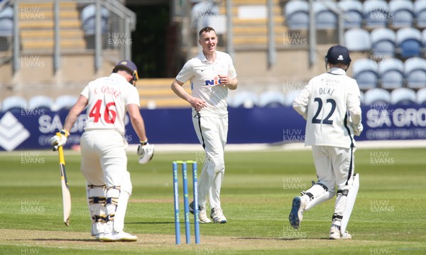 140521 - Glamorgan v Yorkshire, LV= County Championship Group Three - Harry Brook of Yorkshire celebrates taking the wicket of Chris Cooke of Glamorgan
