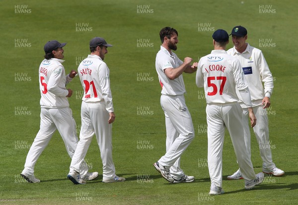 150521 - Glamorgan v Yorkshire, LV= County Championship Group Three - Michael Neser of Glamorgan is congratulated by team mates after taking the wicket of Dom Bess of Yorkshire