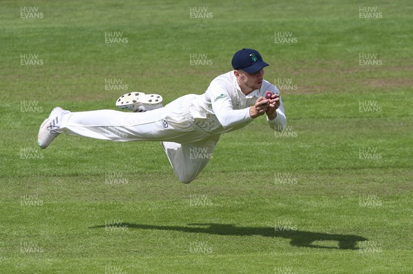 150521 - Glamorgan v Yorkshire, LV= County Championship Group Three - Joe Cooke of Glamorgan takes a diving catch to take the wicket of Harry Duke of Yorkshire