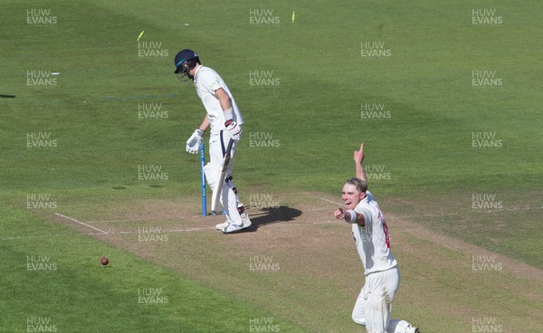 150521 - Glamorgan v Yorkshire, LV= County Championship Group Three - Joe Root of Yorkshire is bowled out by Dan Douthwaite of Glamorgan on 99 runs