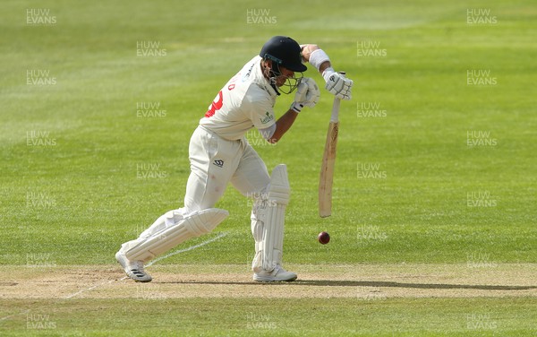 160521 - Glamorgan v Yorkshire, LV= County Championship Group Three - David Lloyd of Glamorgan plays a shot as play gets underway late in the afternoon