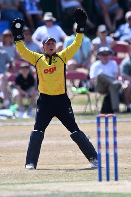 240726 - Glamorgan v Yorkshire - Metro Bank One Day Cup Men - Alex Horton of Glamorgan catches the ball to dismiss Adam Lyth of Yorkshire