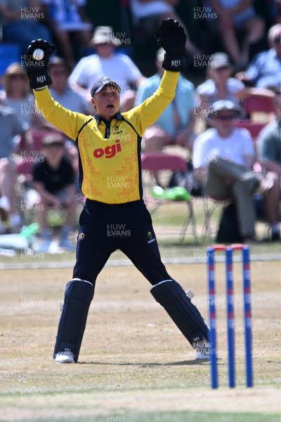 240726 - Glamorgan v Yorkshire - Metro Bank One Day Cup Men - Alex Horton of Glamorgan catches the ball to dismiss Adam Lyth of Yorkshire