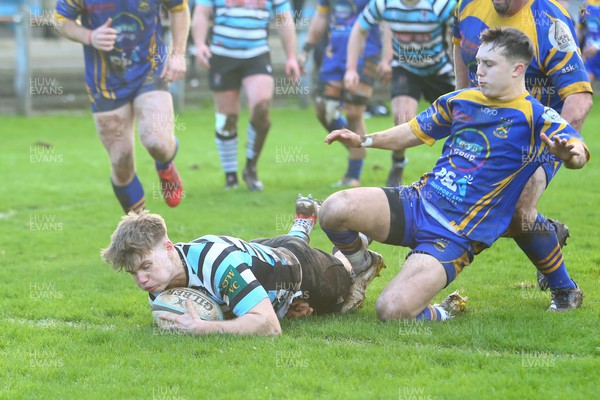 060124 - Glamorgan Wanderers v Penallta - Admiral Championship - Jamin Hodgkins of The Wanderers dives over to score a try