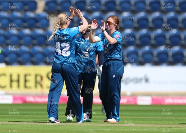 230526 - Glamorgan Women v Derbyshire Falcons Women, Vitality Blast Women League 2 - Derbyshire celebrate as Bethan Ellis of Glamorgan Women is bowled by Adrianna Darlow