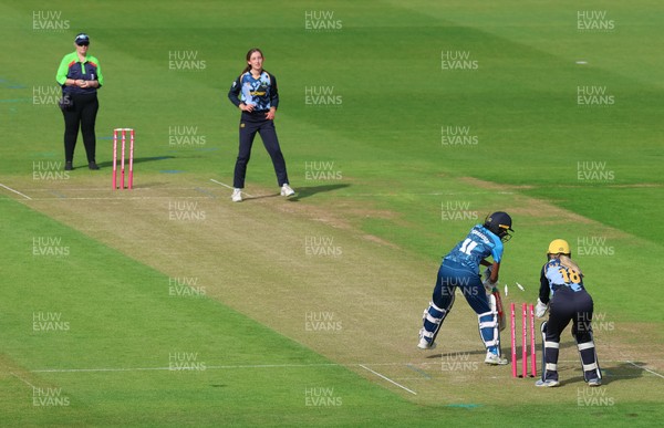 230526 - Glamorgan Women v Derbyshire Falcons Women, Vitality Blast Women League 2 - Katy Cobb of Glamorgan Women celebrates after she bowls out Malisha Tennakoon of Derbyshire Falcons Women