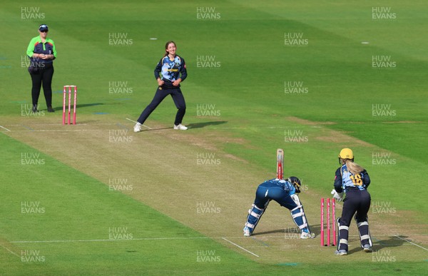 230526 - Glamorgan Women v Derbyshire Falcons Women, Vitality Blast Women League 2 - Katy Cobb of Glamorgan Women celebrates after she bowls out Malisha Tennakoon of Derbyshire Falcons Women