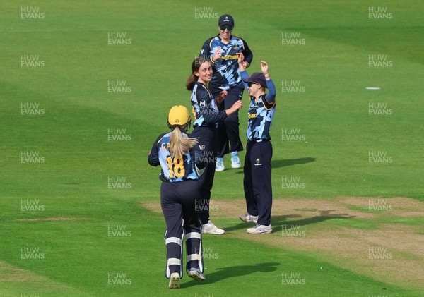230526 - Glamorgan Women v Derbyshire Falcons Women, Vitality Blast Women League 2 - Katy Cobb of Glamorgan Women celebrates after she bowls out Malisha Tennakoon of Derbyshire Falcons Women