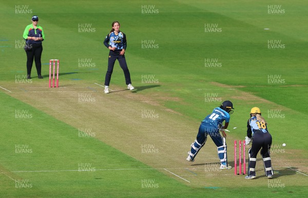 230526 - Glamorgan Women v Derbyshire Falcons Women, Vitality Blast Women League 2 - Katy Cobb of Glamorgan Women celebrates after she bowls out Malisha Tennakoon of Derbyshire Falcons Women