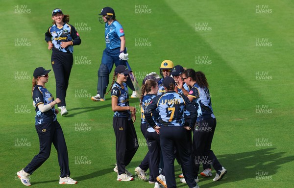 230526 - Glamorgan Women v Derbyshire Falcons Women, Vitality Blast Women League 2 - Glamorgan celebrate as Rhiannon Knowling-Davies of Derbyshire Falcons Women is dismissed
