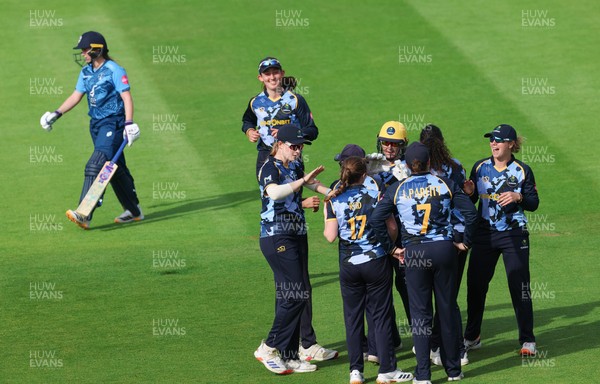 230526 - Glamorgan Women v Derbyshire Falcons Women, Vitality Blast Women League 2 - Glamorgan celebrate as Rhiannon Knowling-Davies of Derbyshire Falcons Women is dismissed