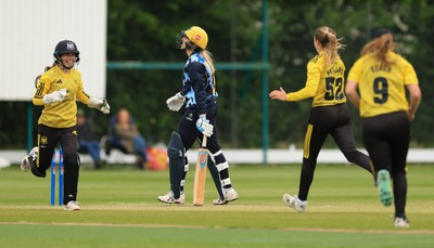 050525 - Glamorgan Women v Gloucestershire Women, Vitality T20 Women’s County Cup - Gloucestershire celebrate taking the wicket of Charlotte Scarborough of Glamorgan Women