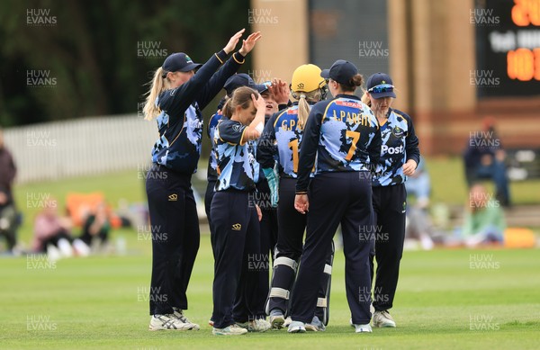 050525 - Glamorgan Women v Gloucestershire Women, Vitality T20 Women’s County Cup - Glamorgan celebrate a wicket