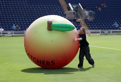 180725 - Glamorgan Women v Kent Spitfires - Vitality Blast Women League 2 - Thatcher's Apple Roll