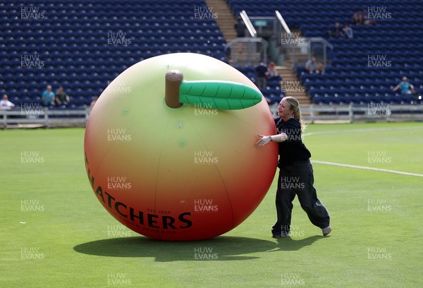 180725 - Glamorgan Women v Kent Spitfires - Vitality Blast Women League 2 - Thatcher's Apple Roll