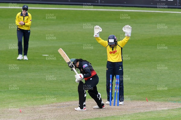 190426 - Glamorgan Women v Leicestershire Foxes Women - Metro Bank One Day Cup Women League 2 - April Herathge of Leicestershire Women is bowled out by Bethan Ellis of Glamorgan Women