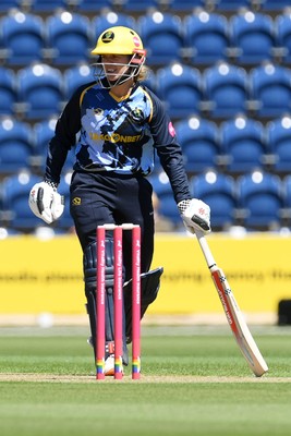 Glamorgan Women v Middlesex Women 030726