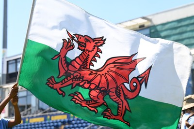 030726 - Glamorgan Women v Middlesex Women - Vitality Blast Women League 2 - Wales Flag