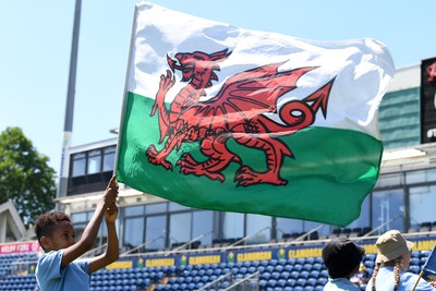 030726 - Glamorgan Women v Middlesex Women - Vitality Blast Women League 2 - Wales Flag