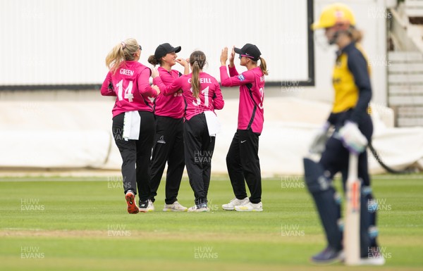190425 - Glamorgan Women v Sussex Sharks, Metro Bank One Day Cup - Sussex celebrate taking the wicket of Daisy Jeanes of Glamorgan Women