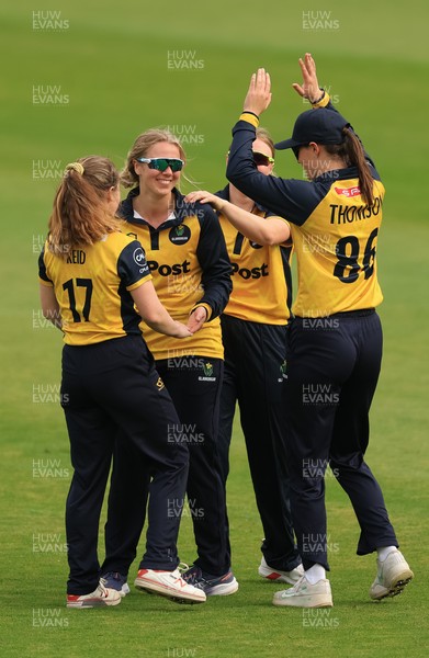 190425 - Glamorgan Women v Sussex Sharks, Metro Bank One Day Cup - Daisy Jeanes of Glamorgan Women celebrates with team mates after she catches Talitha Stanley of Sussex Sharks