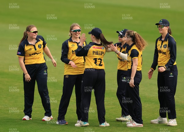 190425 - Glamorgan Women v Sussex Sharks, Metro Bank One Day Cup - Daisy Jeanes of Glamorgan Women celebrates with team mates after she catches Talitha Stanley of Sussex Sharks