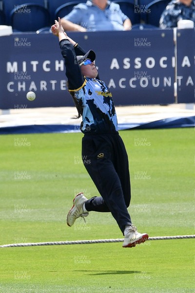 050726 - Glamorgan Women v Worcestershire Rapids Women - Vitality Blast Women League 2 - Sara Phillips of Glamorgan Women just misses out on a catch