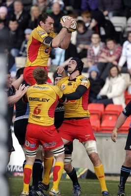 04.04.10 ... Glasgow Warriors v Newport Gwent Dragons, Magners League -  Dragons Rob Sidoli claims lineout ball 