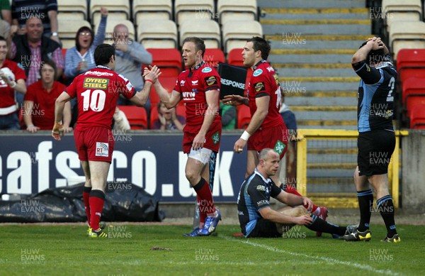 22.04.11 - Glasgow v Scarlets - Magners League Scarlets' Morgan Stoddart celebrates his try with his team mates 