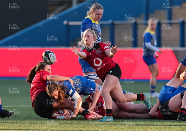 271225 - Gwalia Lightning v Brython Thunder, Celtic Challenge - Seren Lockwood of Brython Thunder