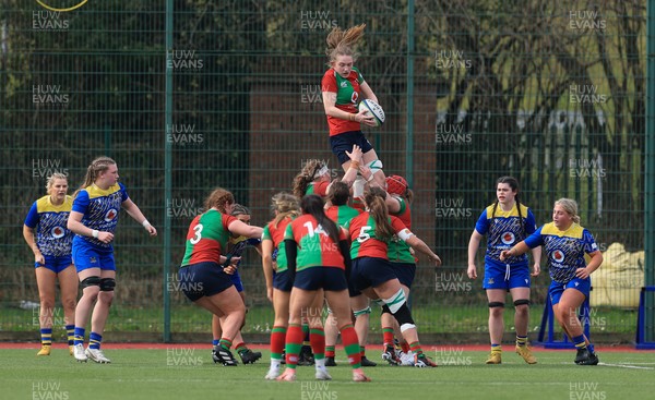 080325  Gwalia Lightning v Clovers, Celtic Challenge - Jane Neill of Clovers wins line out