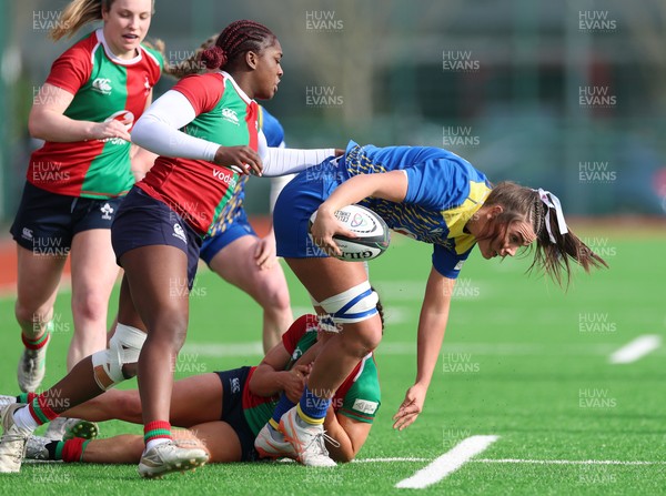 140226 - Gwalia Lightning v Clovers, Celtic Challenge - Bryonie King of Gwalia Lightning is held