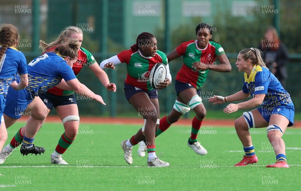 140226 - Gwalia Lightning v Clovers, Celtic Challenge - Chisom Ugwueru of Clovers looks to attack