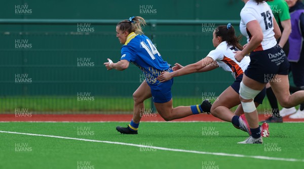 170126 - Gwalia Lightning v Edinburgh Rugby, Celtic Challenge - Courtney Greenway of Gwalia Lightning dives in to score try