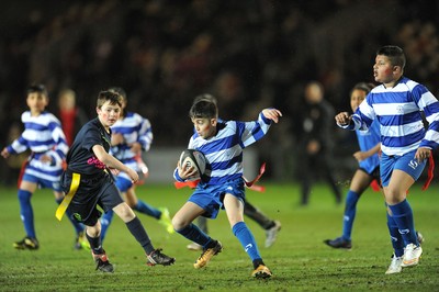 230318 - Dragons v Toyota Cheetahs - Guinness PRO14 - Tag Rugby