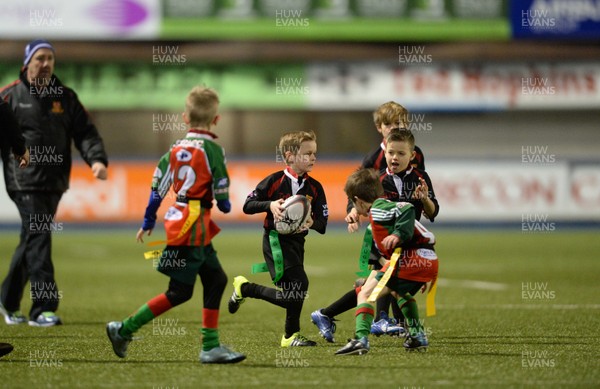 300116 - Cardiff Blues v Edinburgh - Guinness PRO12 -Half time tag rugby