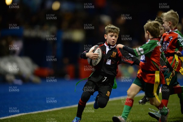 300116 - Cardiff Blues v Edinburgh - Guinness PRO12 -Half time tag rugby