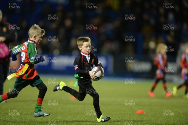 300116 - Cardiff Blues v Edinburgh - Guinness PRO12 -Half time tag rugby