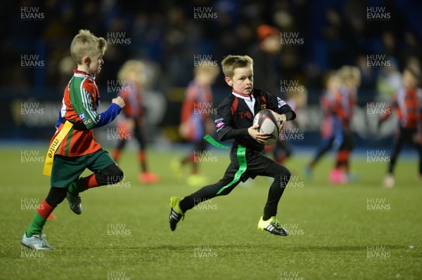 300116 - Cardiff Blues v Edinburgh - Guinness PRO12 -Half time tag rugby