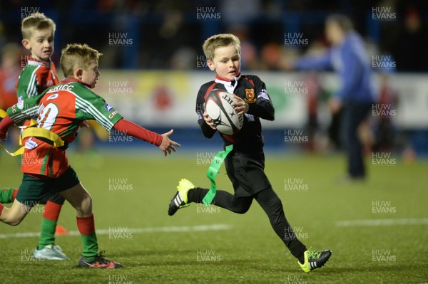 300116 - Cardiff Blues v Edinburgh - Guinness PRO12 -Half time tag rugby