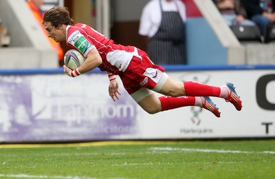 Harlequins v Scarlets 121013