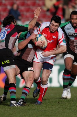 Harlequins v Scarlets 240109