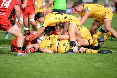 060925 - Hartpury College v Dragons RFC - Preseason Friendly - Harrison Keddie of Dragons scores a try