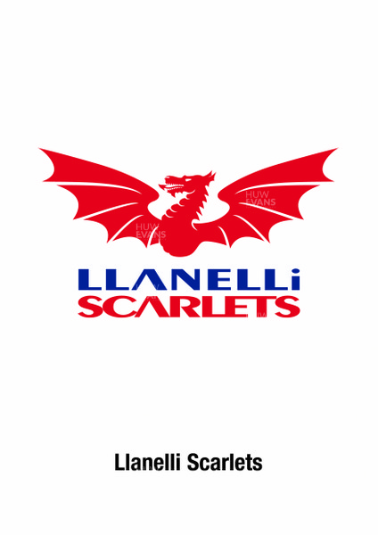 21.06.07 - Heineken Cup 2007/2008 Teams Logos - Llanelli Scarlets Logo 