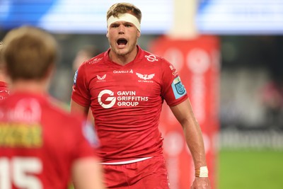 170525 - Hollywoodbets Sharks v Scarlets - United Rugby Championship - Taine Plumtree of the Scarlets