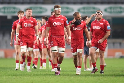 170525 - Hollywoodbets Sharks v Scarlets - United Rugby Championship - Taine Plumtree of the Scarlets