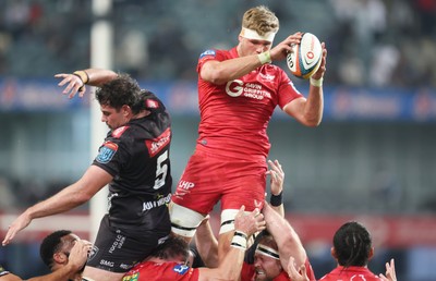 170525 - Hollywoodbets Sharks v Scarlets - United Rugby Championship - Taine Plumtree of the Scarlets